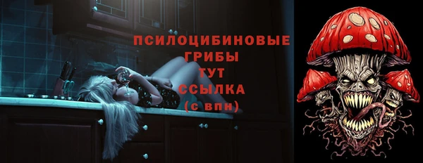 герыч Горнозаводск